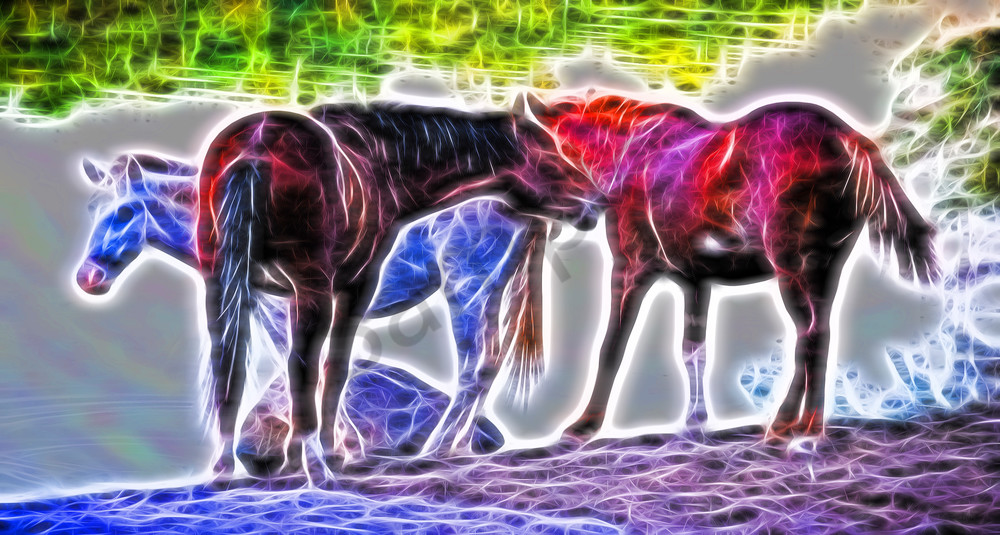 Electric Horses Photography Art | frednewmanphotography