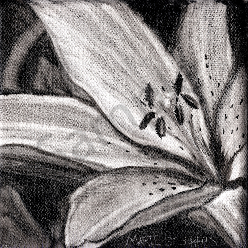 Lily Flower Painting in Black and White Wall Art Prints