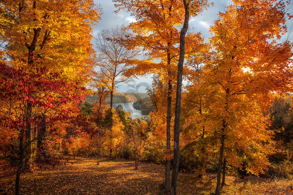 Autumn on Cedar Lake - vivid fall colors - fine art photography prints - by JP Sullivan Photography Autumn on Cedar Lake - vivid fall colors - fine art photography prints - by JP Sullivan Photography