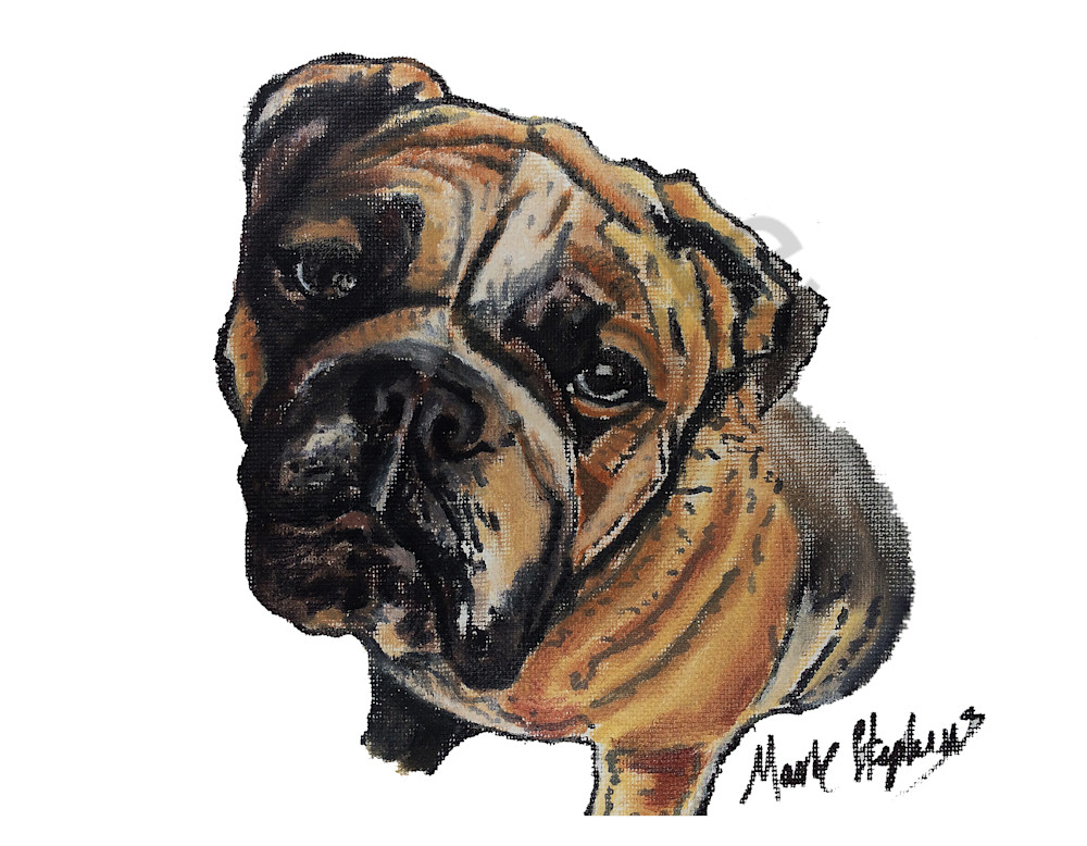 Bulldog Love Art | Marie Stephens Art