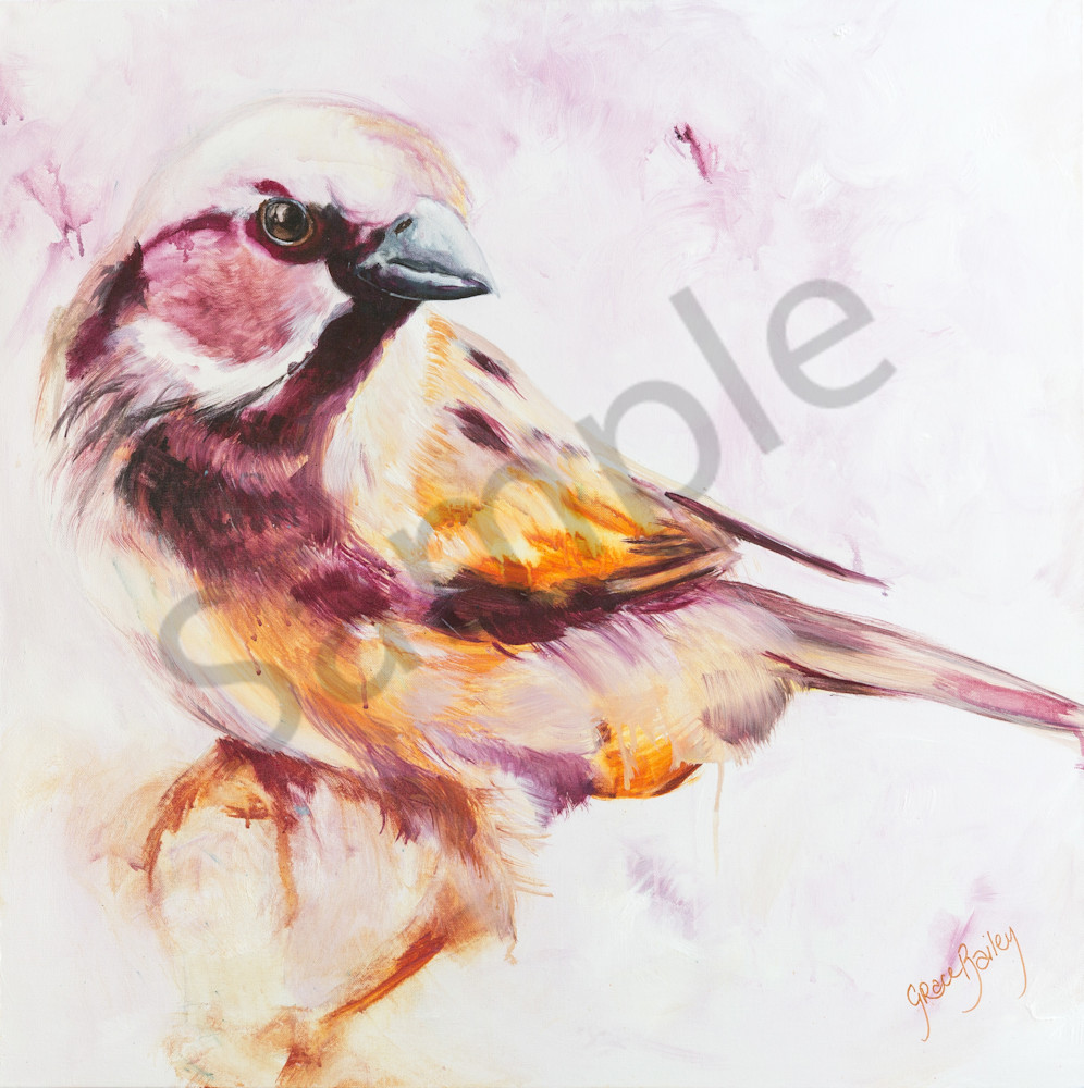 "His Eyes Are On The Sparrow" by Australian Artist Grace Bailey | Prophetics Gallery