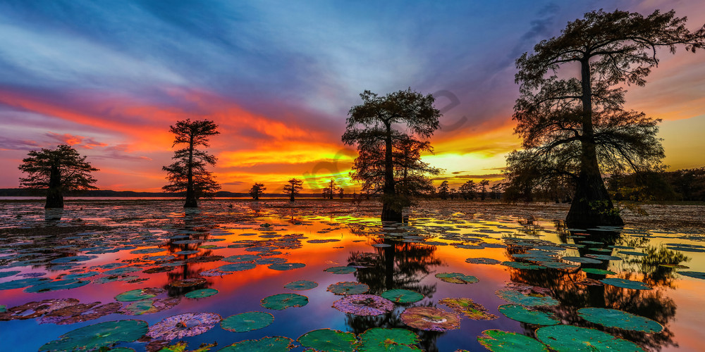 Caddo Lake Sunset Photography Art | John Martell Photography