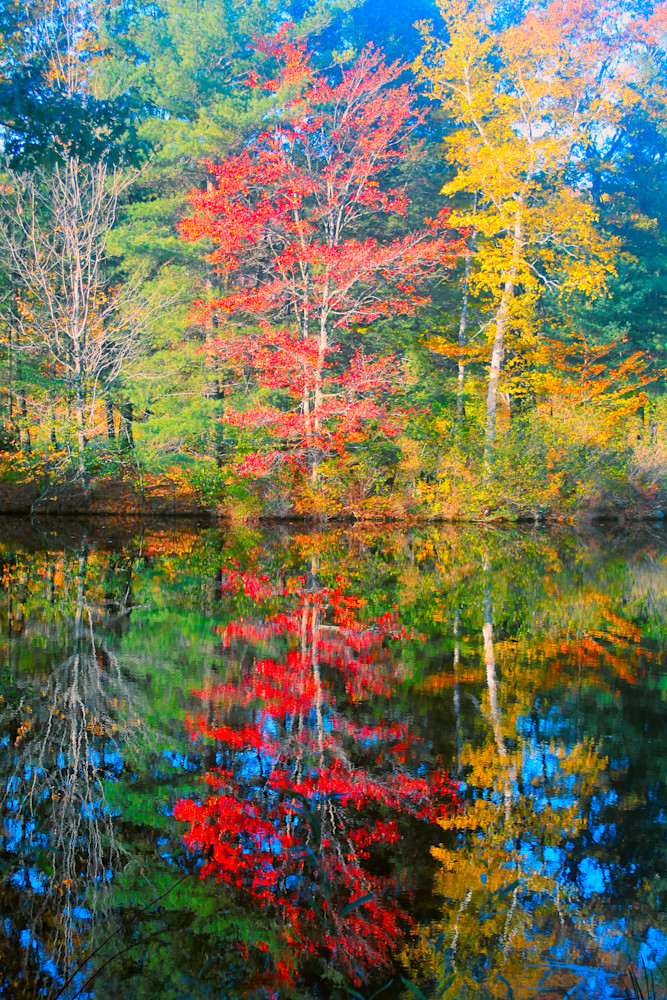 Berkshires Reflection|Fine Art Photography by Artist Todd Breitling
