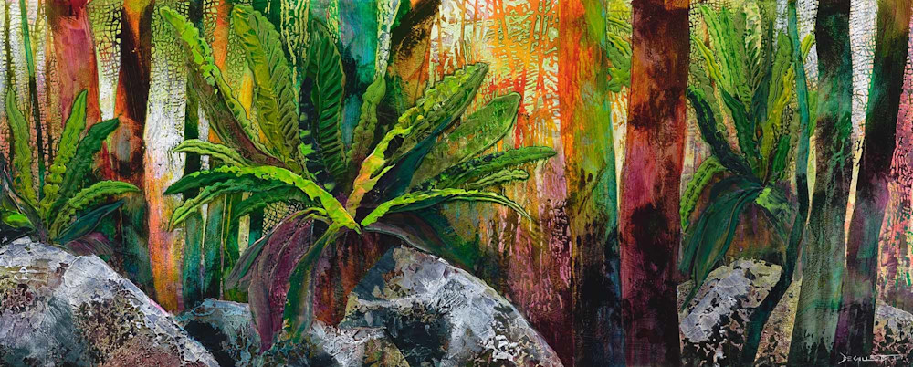 Rainforest rainbow Rainforest rainbow