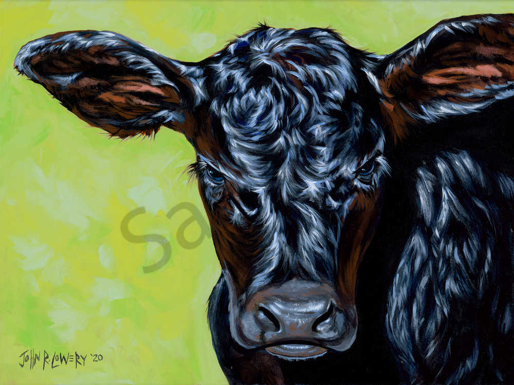 Calf and baby bull paintings by Texas artist, John R. Lowery, available as art prints.