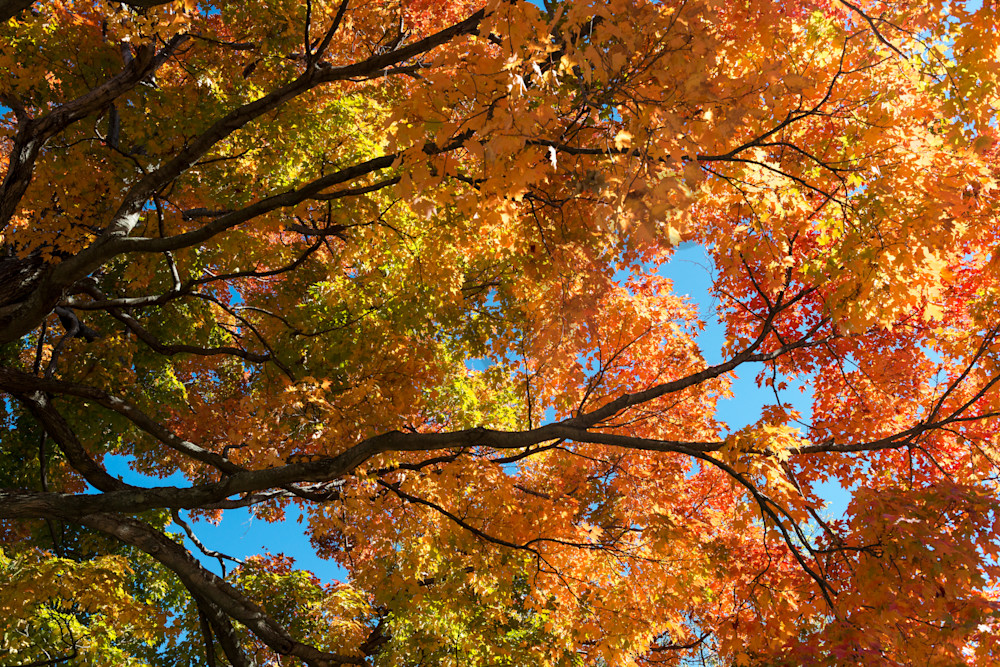 Brilliant fall foliage Saratoga Springs 
