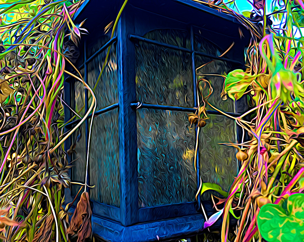 Lightpost and Vines|Fine Art Photography by Artist Todd Breitling
