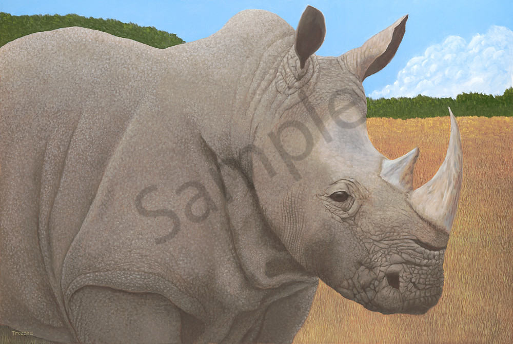 trozzo-rhino