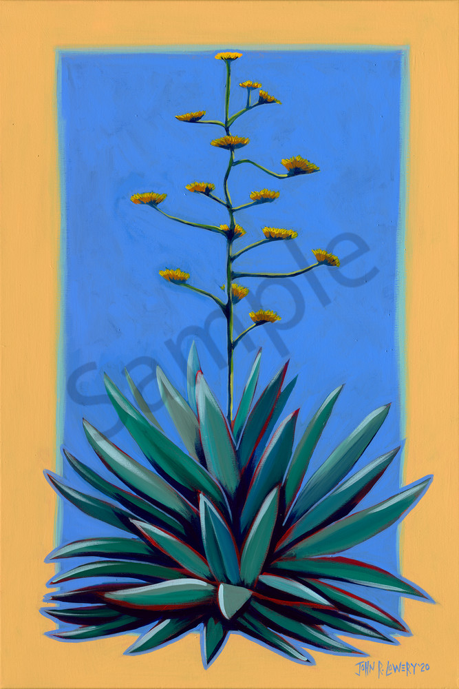 West Texas Century Plant paintings by John R. Lowery, for sale as art prints.