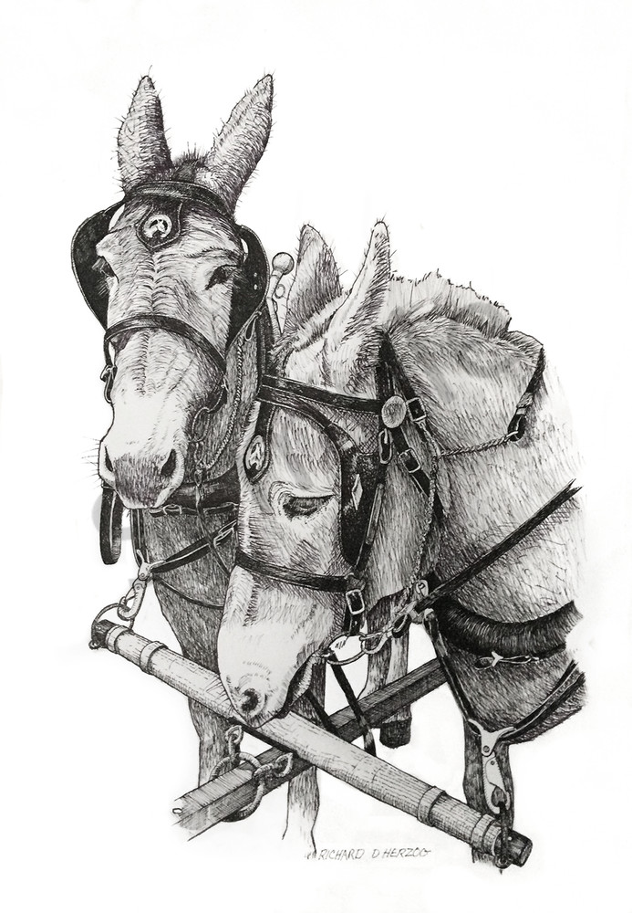Bw Mules Art | Cincy Artwork