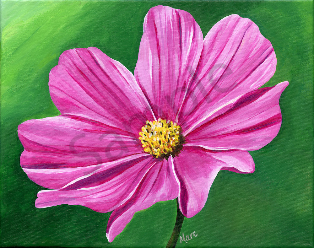 “Harmony” acrylic artwork by Mary Anne Hjelmfelt of a pink Cosmos flower. “Harmony” acrylic artwork by Mary Anne Hjelmfelt of a pink Cosmos flower.