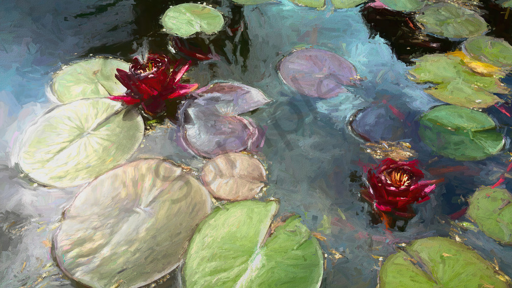 Black Princess Water Lilies Art | smalljoysstudio