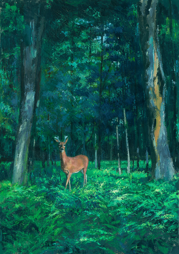 Woodland Grandeur