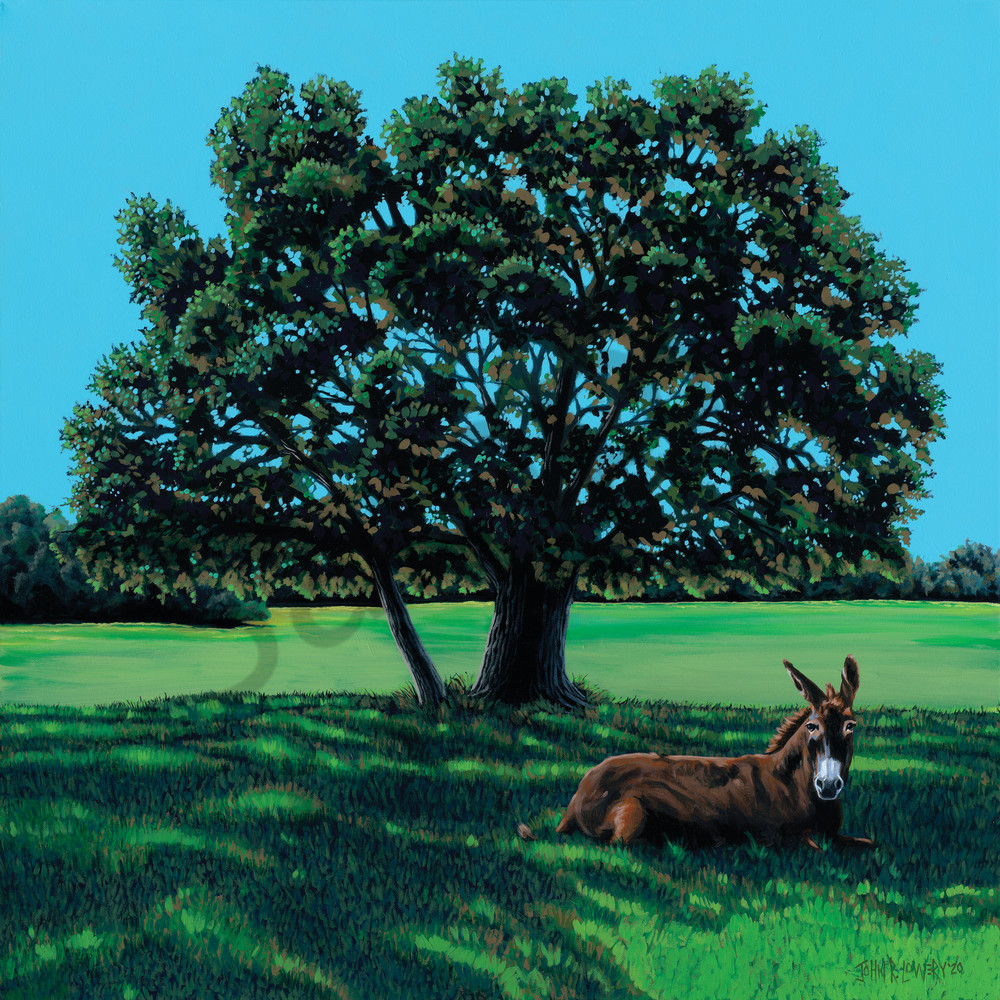 Original painting of an oak tree with a mule in the foreground, available as art prints.