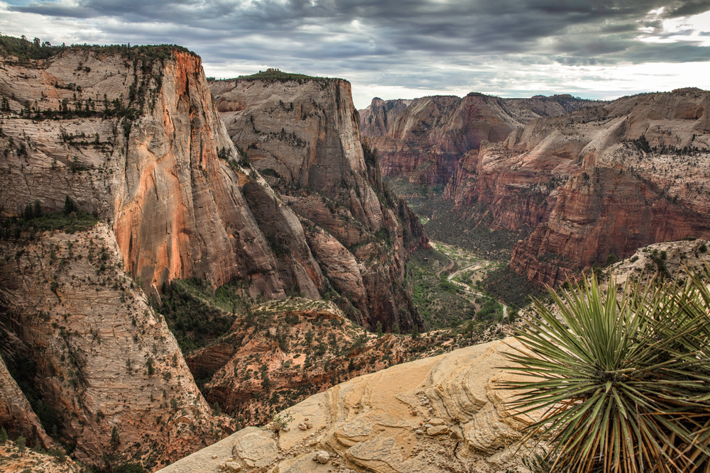 A photo on the East Mesa Trail in Zion National Park
