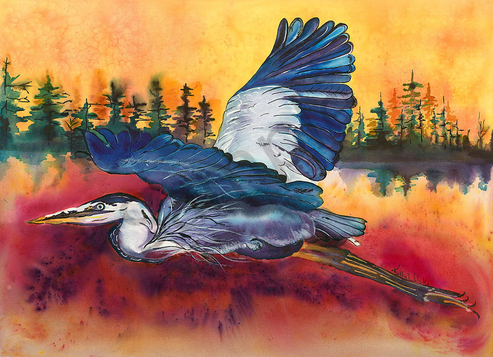 "Great Blue Heron at Sunrise" fine art print  by Kelly Wolske.