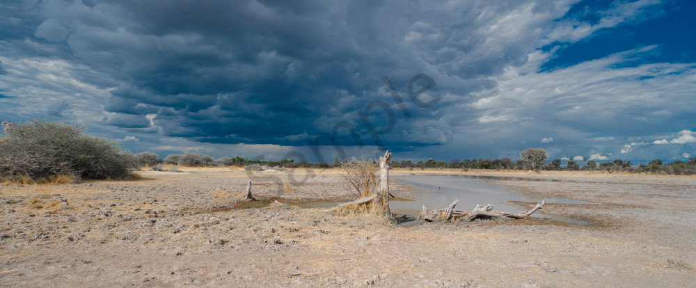 Savuti Gathering Storm Photography Art | Tolowa Gallery