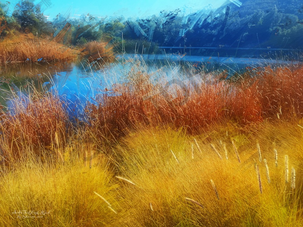 Dixon Lake Winter Reeds - digital painting photograph