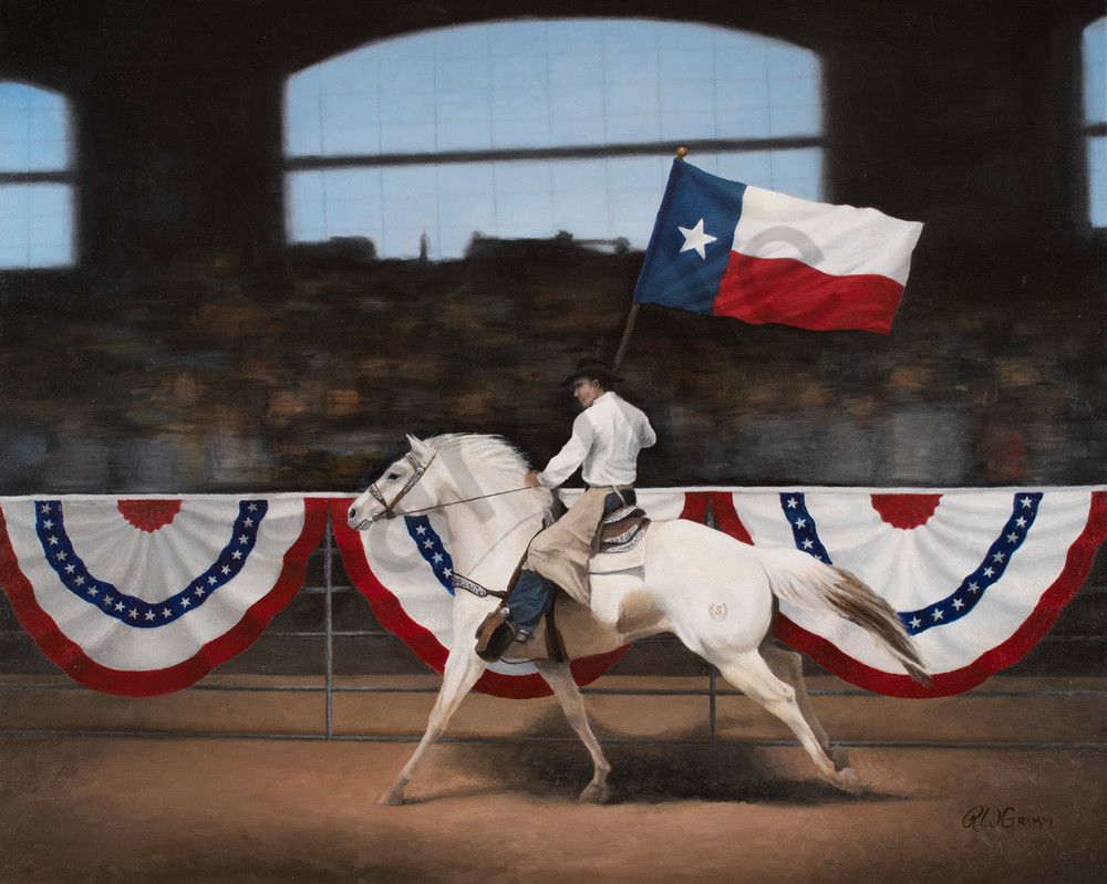Texas flag, rodeo, cowboy, farm, show, white horse, paint horse, horse painting, saddle