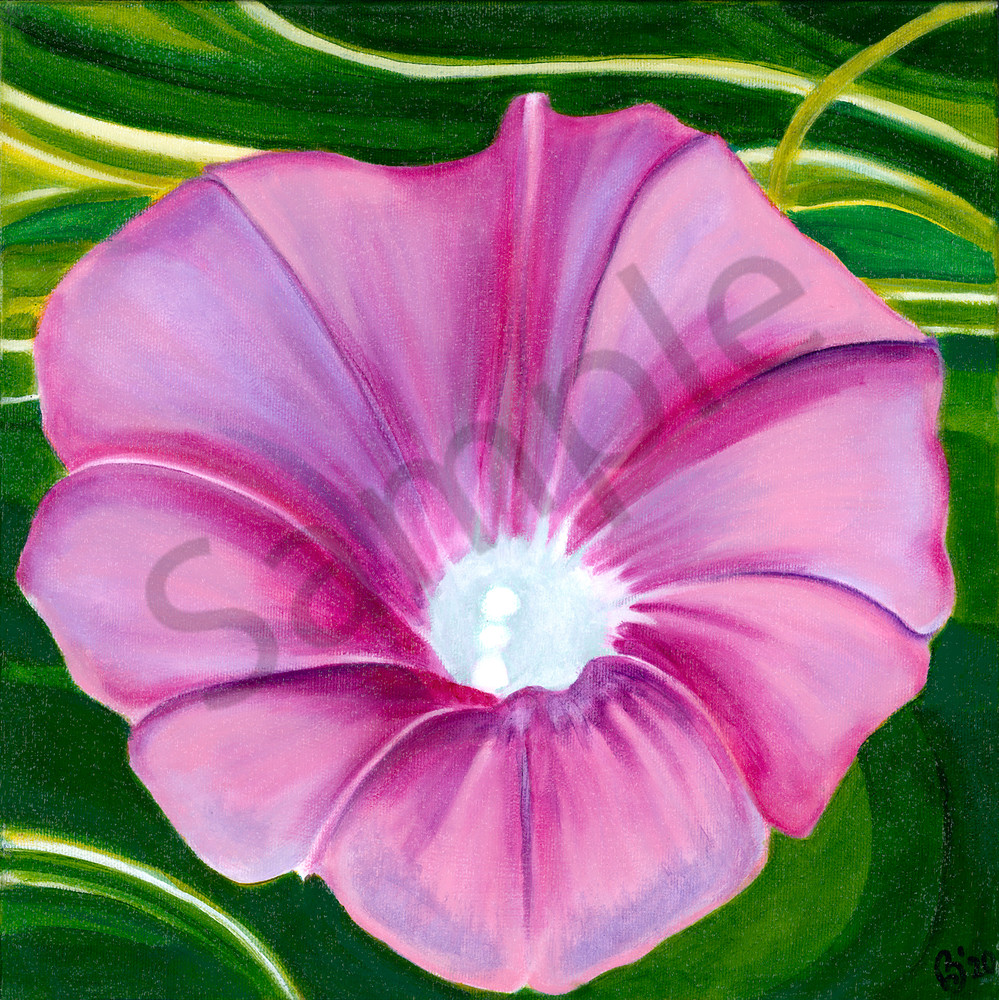 Morning Glorious Pink Art | Digital Arts Studio / Fine Art Marketplace