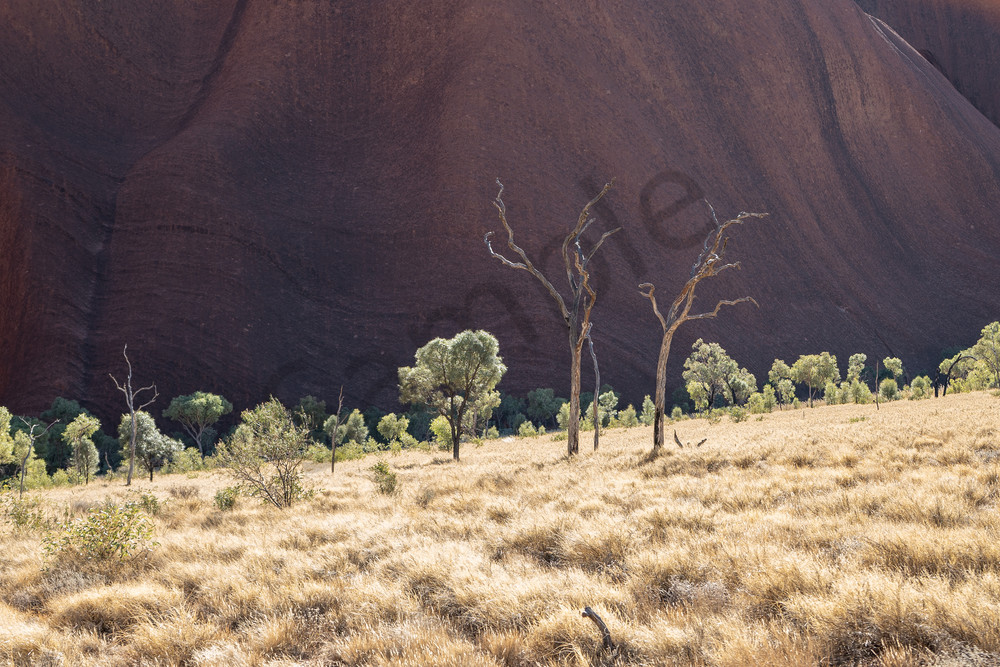 Uluru Up Close 3 Photography Art | Tolowa Gallery