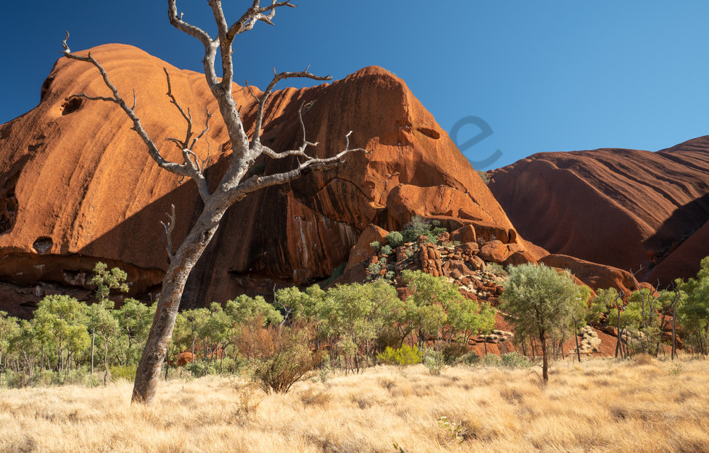 Uluru Up Close Photography Art | Tolowa Gallery