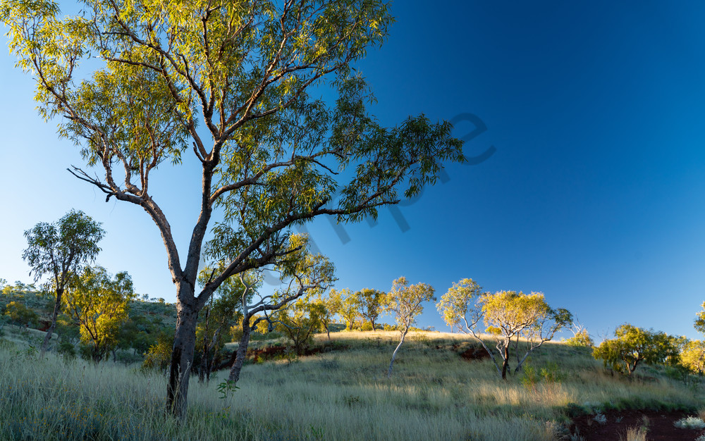 Pilbara Sunrise Photography Art | Tolowa Gallery
