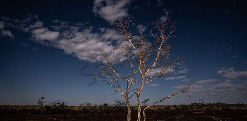 Ghost Gum  Photography Art | Tolowa Gallery