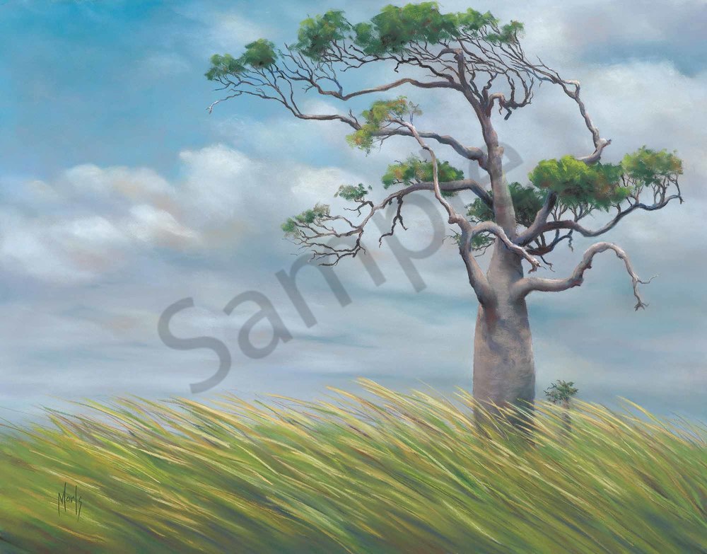 The Southerly Influence The Southerly Influence