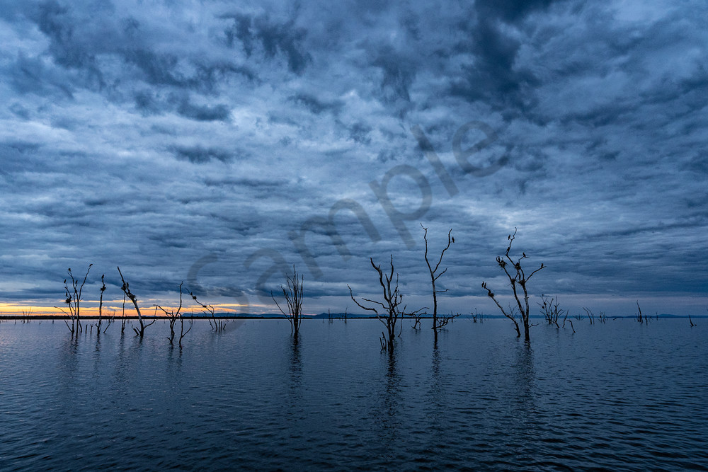 Lake Cormorants Photography Art | Tolowa Gallery