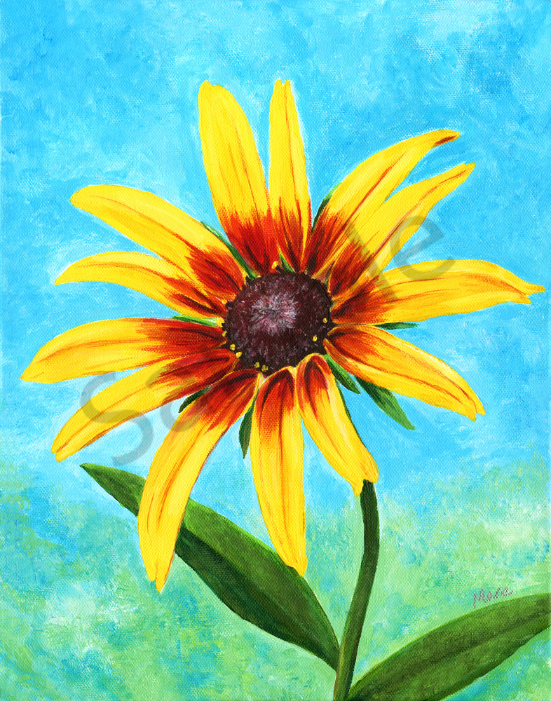 Fine art prints of "Firecracker" - a warm, floral, acrylic painting of the black-eyed, brown-eyed Susan.
