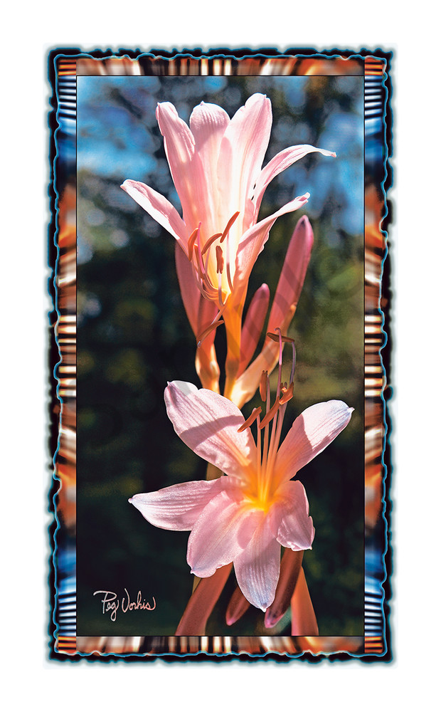 August Lilies Art | Cincy Artwork