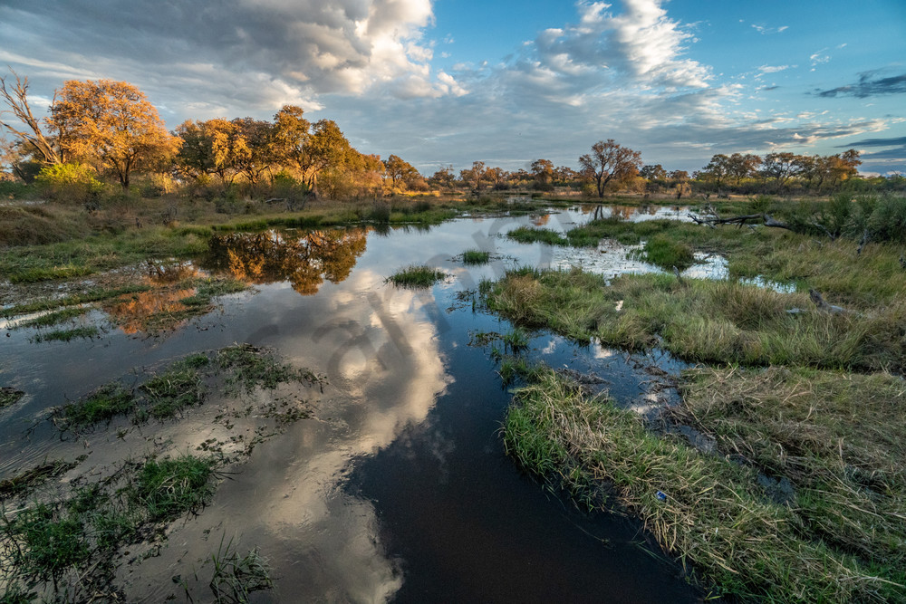 Kwai River, Botswana Photography Art | Tolowa Gallery