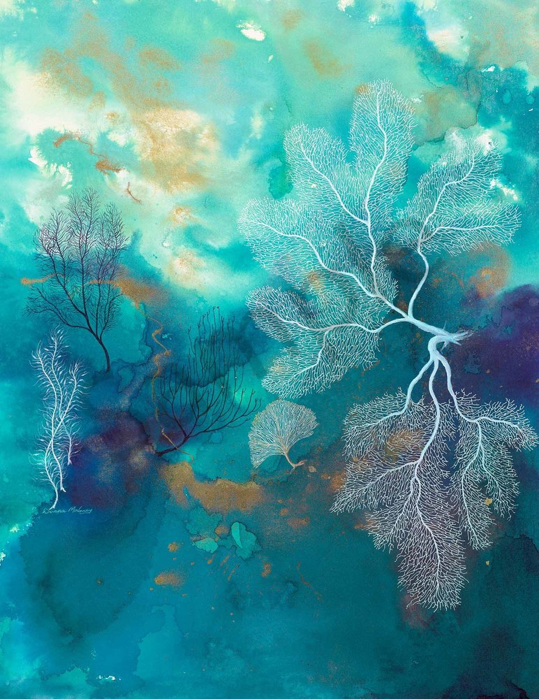 Tropical Coral Reef 3 Tropical Coral Reef 3