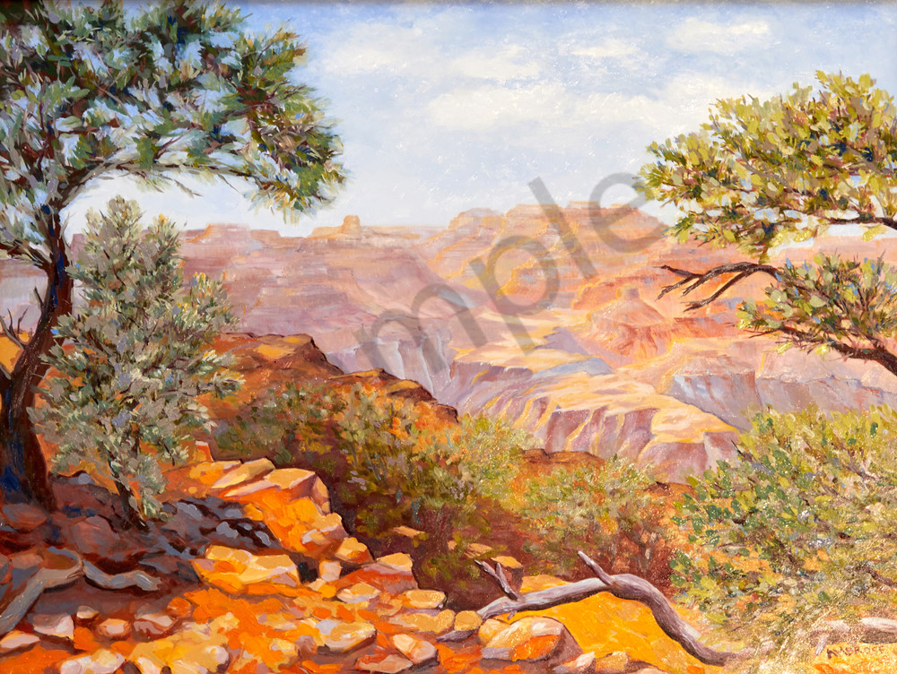 Grand Canyon Pines