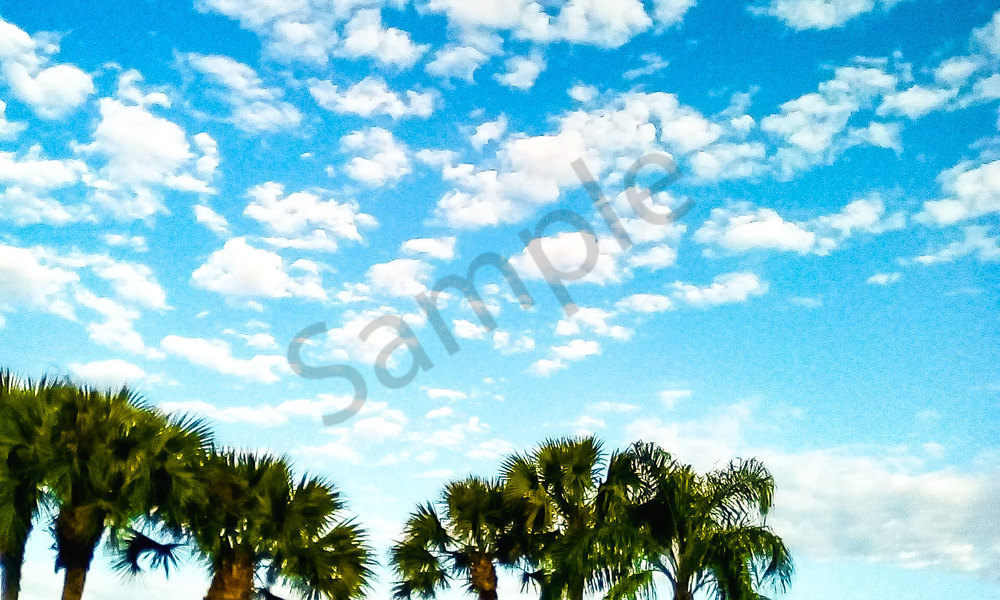 Clouds With Palm Trees 2020 Art | Gallery X4