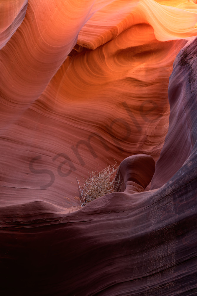 Waves frozen in time in slot canyon