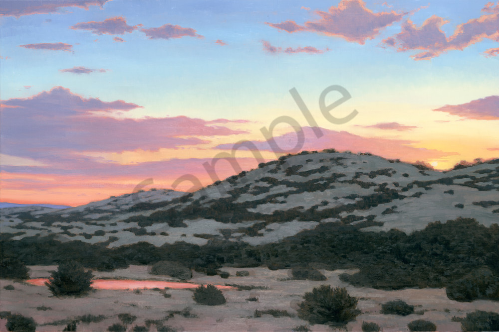 Sunset Over The Watering Hole  Art | Terry Sauve Fine Art 