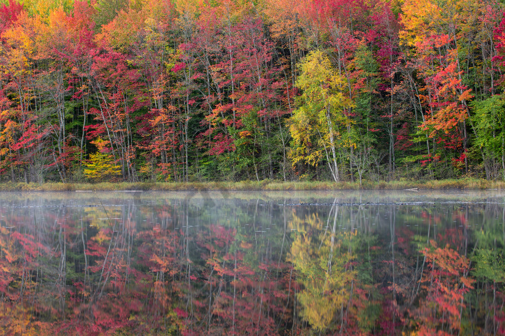 Autumn Splendor Photograph