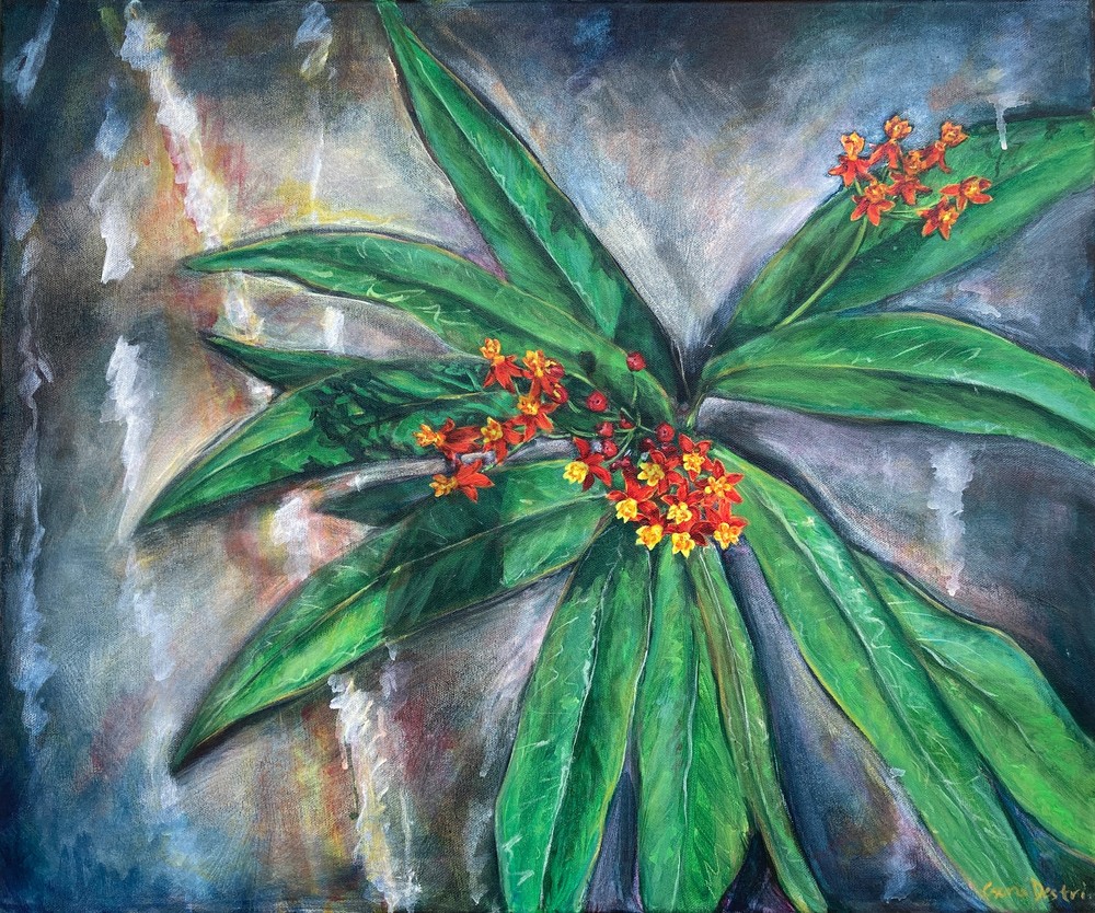 Tropical Milkweed painting fine art prints