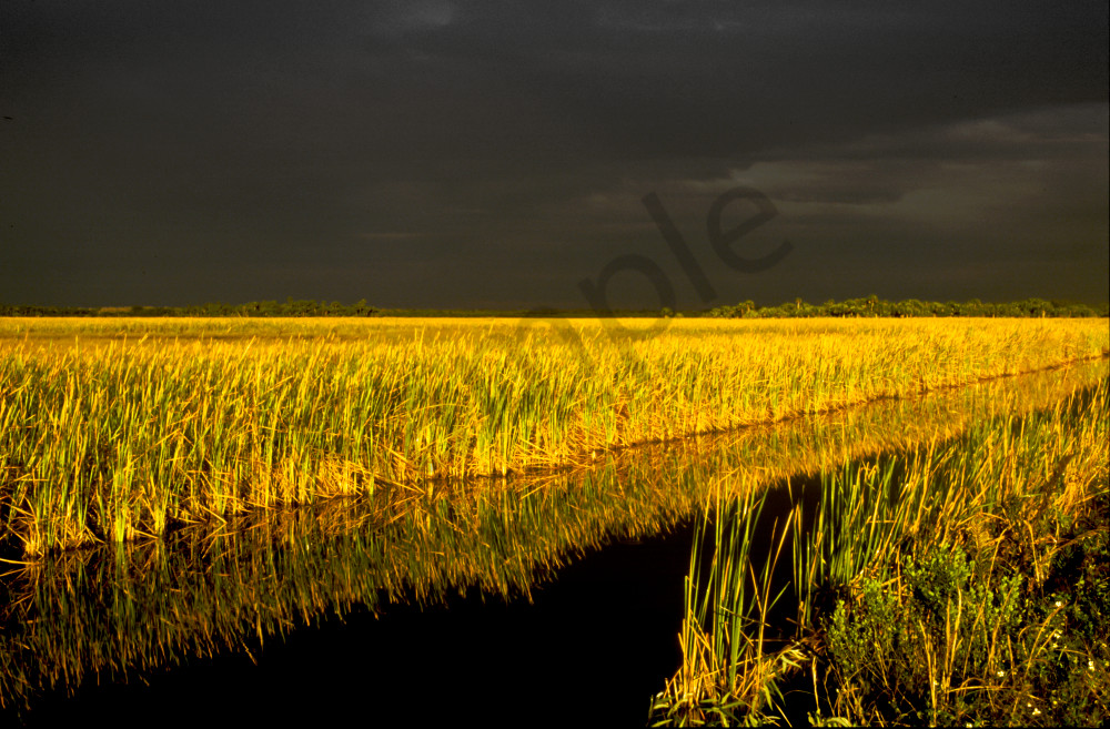 Everglades FL