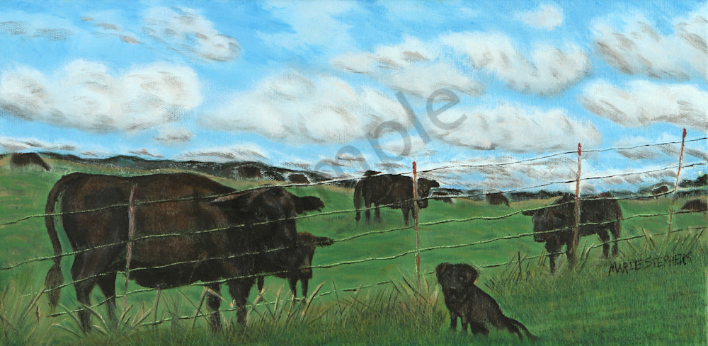 Are You My Momma?  Black Lab in the Pasture with Black Angus Cows by Marie Stephens Art
