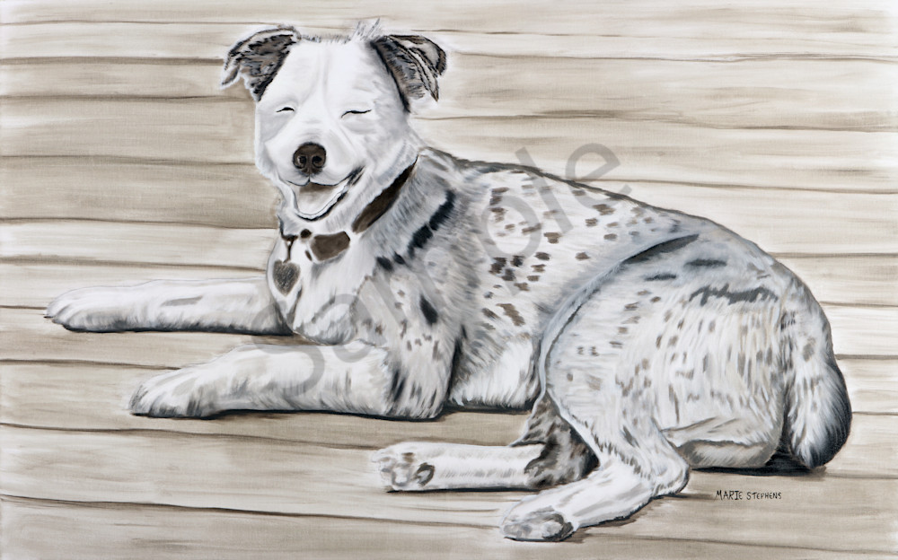 Australian Shepherd Dog Painting by Marie Stephens Art