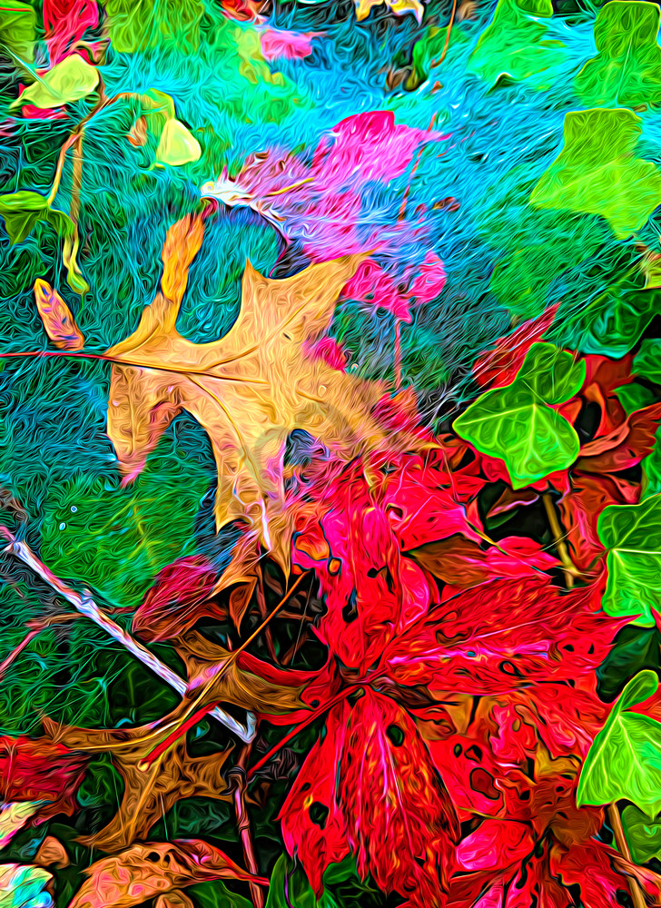 Leaves and Spiderweb|Fine art photography by Todd Breitling