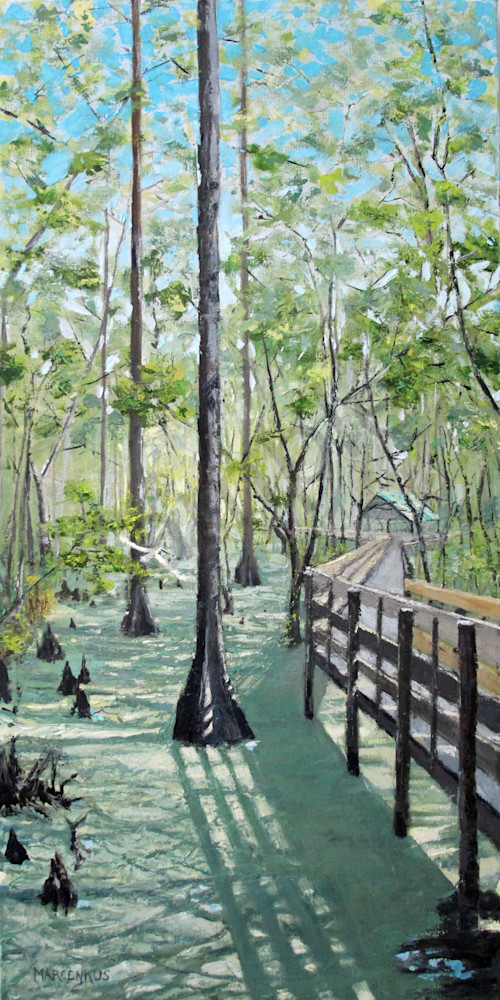 Six Mile Cypress Slough Art | Al Marcenkus Art, LLC