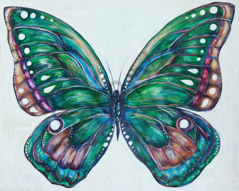 Gabriel S Butterfly Art | Art By Dana
