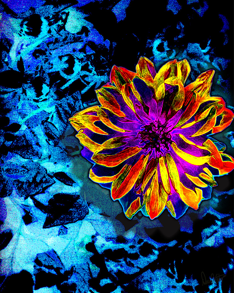 Flower 48 Art | Cincy Artwork