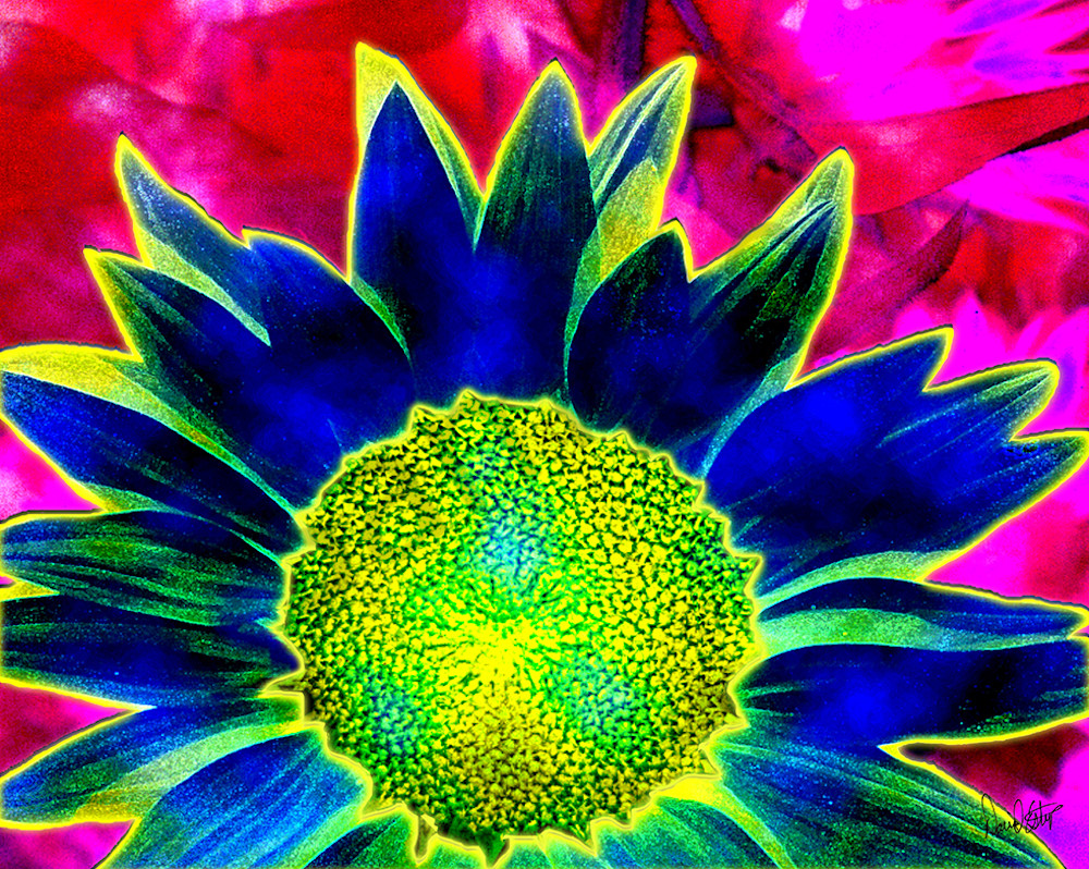 Sunflower 5 Art | Cincy Artwork