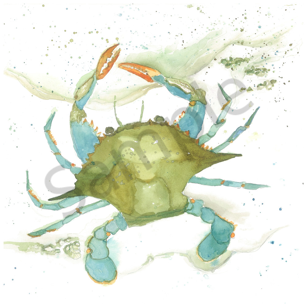 Blue Crab Ii Art | Jackie Braden  Fine Art