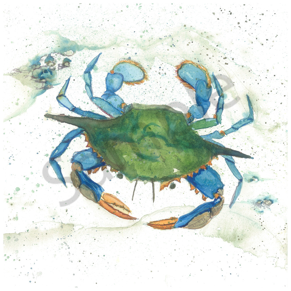 Blue Crab Iii Art | Jackie Braden  Fine Art